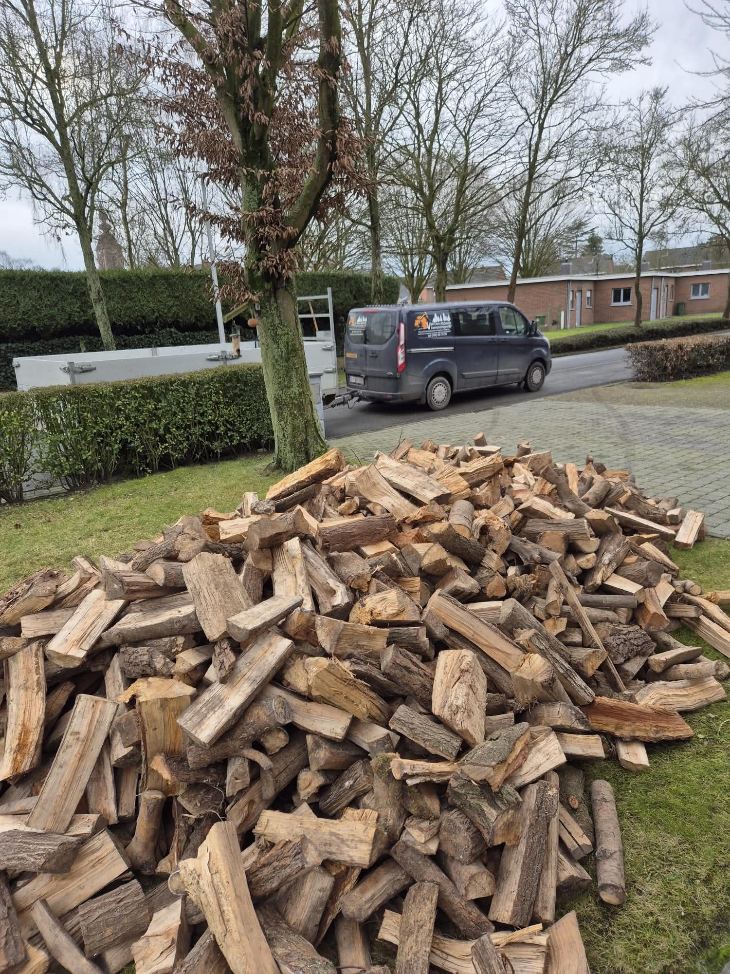 Brandhout voorraad 5
